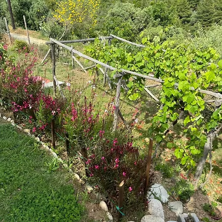 σε συγκρότημα στην Holiday home Ouranoupoli